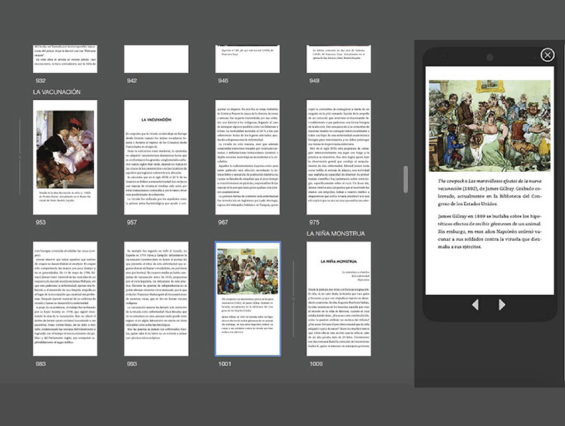 Servicios de maquetación digital. Ejemplos: vistas del Kindle Previewer del libro "Cuadros de clínicos"
