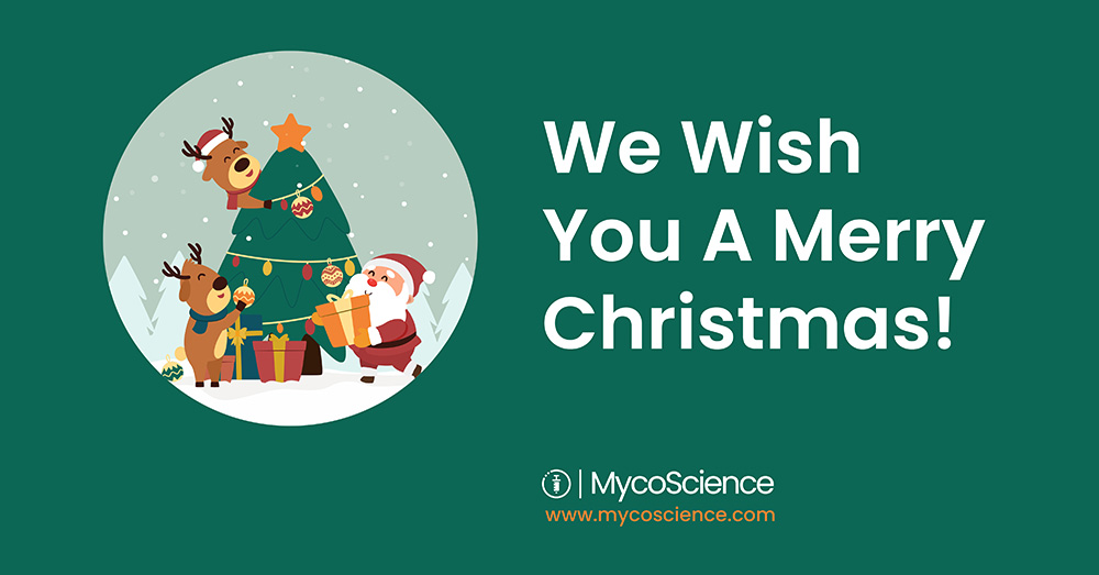 Creatividad para Navidad. SEO on page. SEO off page. Piezas comunicacionales para el proyecto de MycoScience