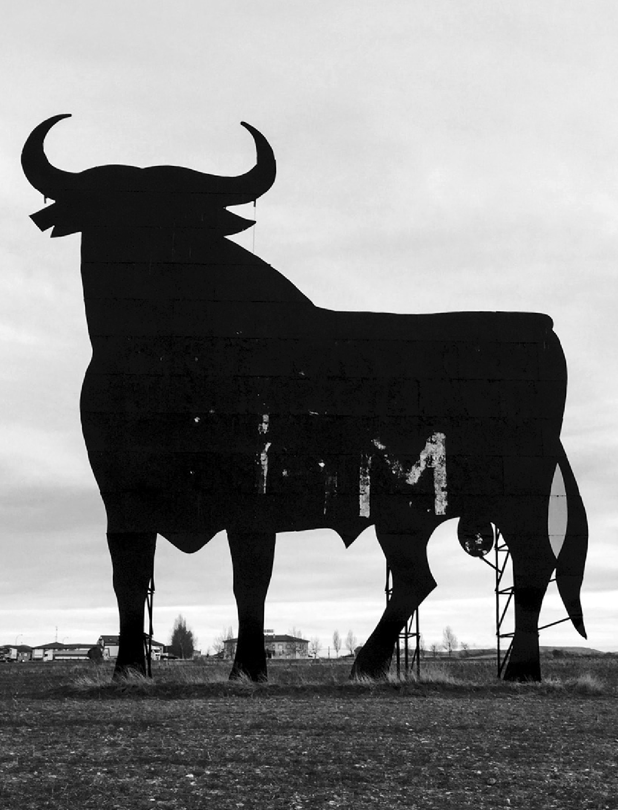 Fotografía de la escultura de un toro de hierro en el medio del campo. Fotografía utilizada para la sección "Quiénes somos" del sitio web Nacho Jota. Servicios de comunicación y diseño